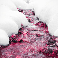 Buy canvas prints of Winter forest red stream. by Cristi Croitoru