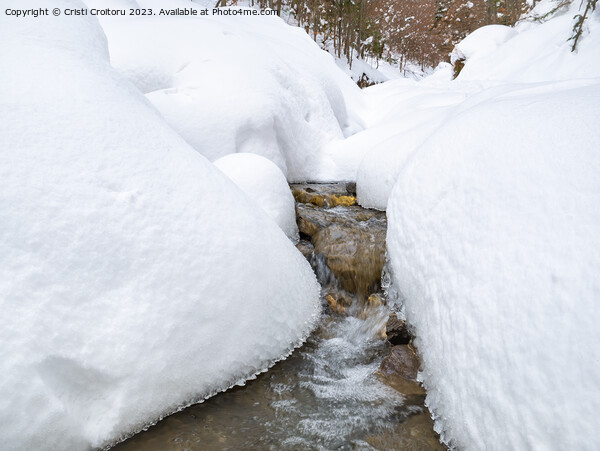 Winter forest stream. Picture Board by Cristi Croitoru