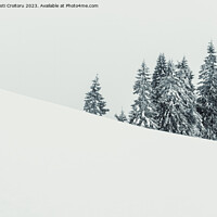 Buy canvas prints of Winter landscape. by Cristi Croitoru
