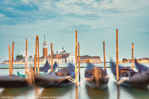 Gondolas on Grand Canal in Venice. Picture Board by Cristi Croitoru