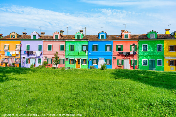 Colorful houses in Burano island, Venice Picture Board by Cristi Croitoru