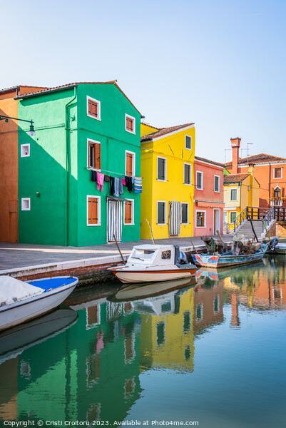 Burano island, Venice. Picture Board by Cristi Croitoru