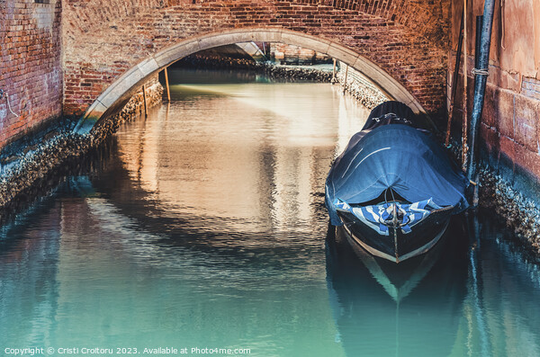 Beautiful Venice. Picture Board by Cristi Croitoru