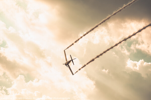 Airplane flying at sunset.  Picture Board by Cristi Croitoru