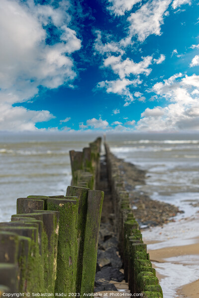North Sea with wooden poles in a cloudy and windy day at Breskens Picture Board by Sebastian Radu