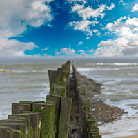 Buy canvas prints of North Sea with wooden poles in a cloudy and windy day at Breskens by Sebastian Radu