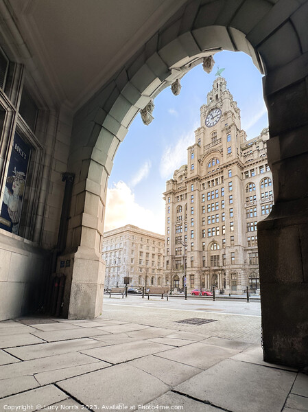 Royal Liver Building  Picture Board by Lucy Norris