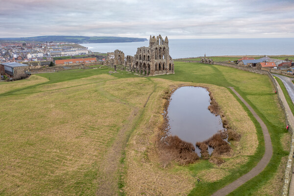 The Abbey Whitby Picture Board by Steve Smith