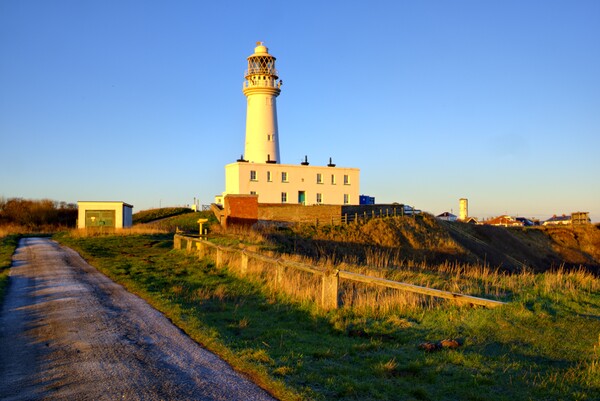 Flamborough Lighthouse Picture Board by Steve Smith