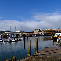Buy canvas prints of Scarborough Yacht Marina Panoramic by Steve Smith