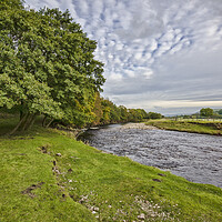 Buy canvas prints of The River Swale by Steve Smith