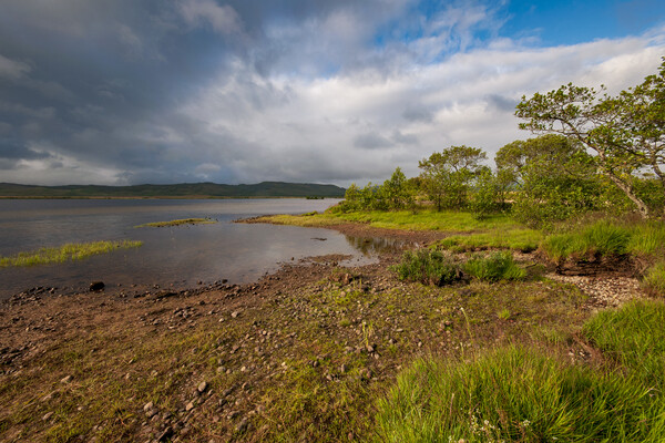 Langal Loch Shiel Picture Board by Steve Smith
