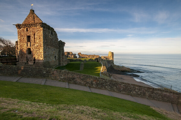 St Andrews Castle Picture Board by Steve Smith