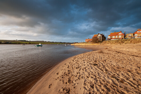 Alnmouth Northumberland Picture Board by Steve Smith