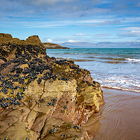 Buy canvas prints of Cappamore Beach by Steve Smith