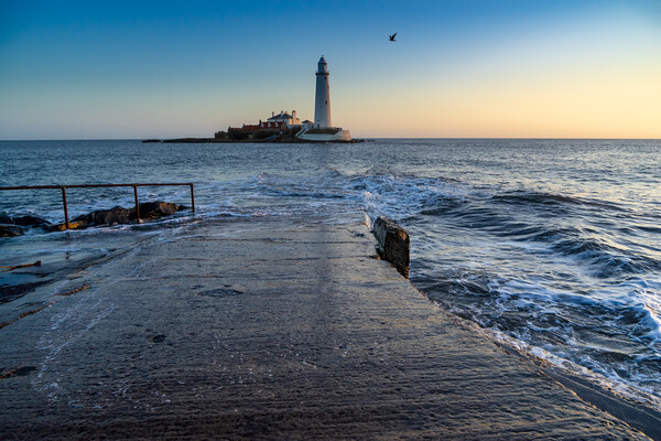 St Marys Lighthouse Picture Board by Steve Smith