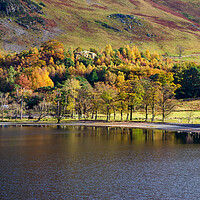 Buy canvas prints of Autumn In Buttermere by Steve Smith