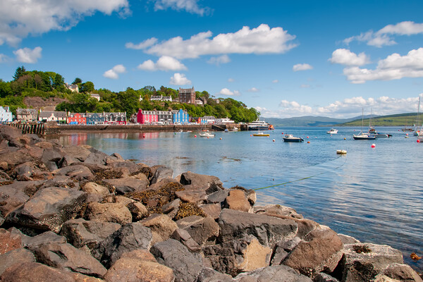 Tobermory Isle Of Mull Picture Board by Steve Smith