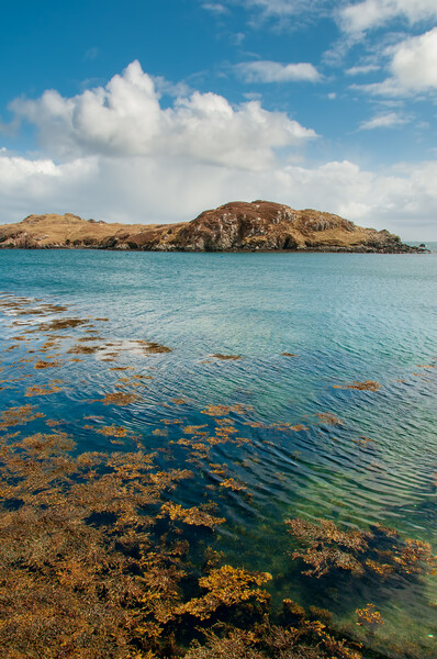 Majestic Rodel Castle on the Isle of Harris Picture Board by Steve Smith