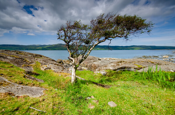 Isle of Mull Picture Board by Steve Smith