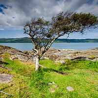 Buy canvas prints of Isle of Mull by Steve Smith