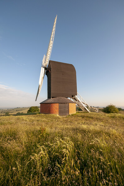 Majestic Brill Windmill Picture Board by Steve Smith