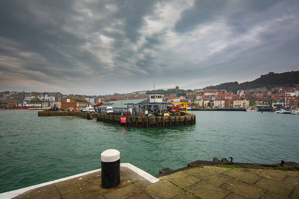 Scarborough Harbour Picture Board by Steve Smith