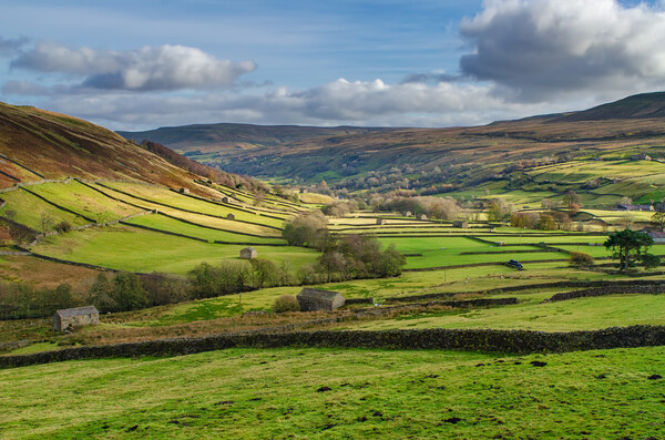 Iconic Swaledale Picture Board by Steve Smith