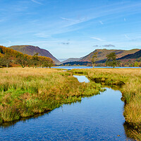 Buy canvas prints of Buttermere Views by Steve Smith