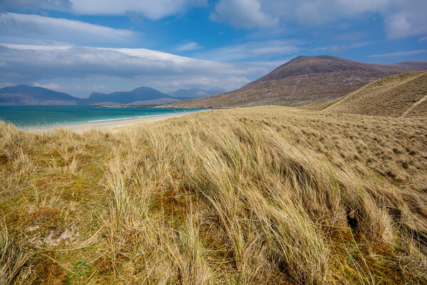 Dunes Of Luskentyre Picture Board by Steve Smith