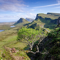 Buy canvas prints of The Quiraing by Steve Smith