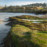 Buy canvas prints of St Andrews by Steve Smith