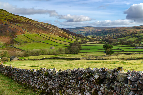 Swaledale At It's Best Picture Board by Steve Smith
