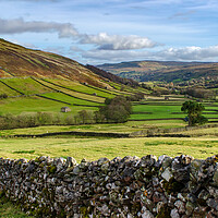 Buy canvas prints of Swaledale At It's Best by Steve Smith