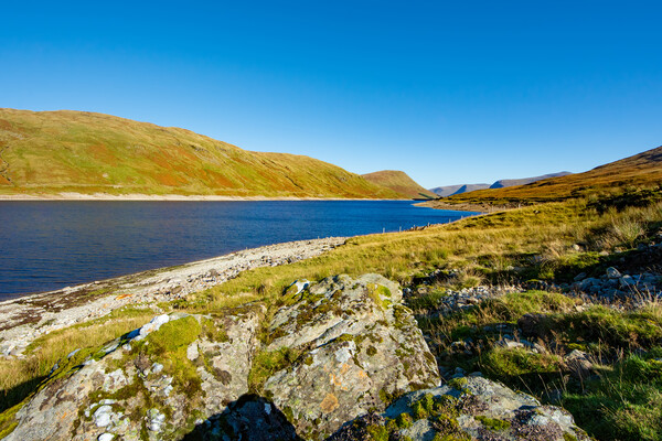 Majestic Beauty of Loch Lyon Picture Board by Steve Smith