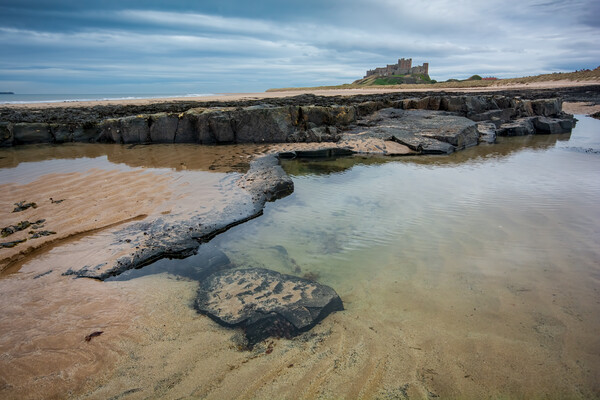 Bamburgh Castle Picture Board by Steve Smith