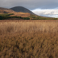 Buy canvas prints of Mystical Beauty of The Hairy Loch by Steve Smith