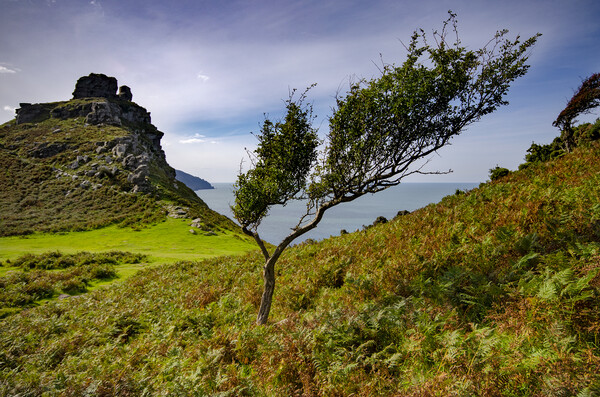 Valley Of The Rocks Picture Board by Steve Smith