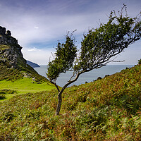 Buy canvas prints of Valley Of The Rocks by Steve Smith