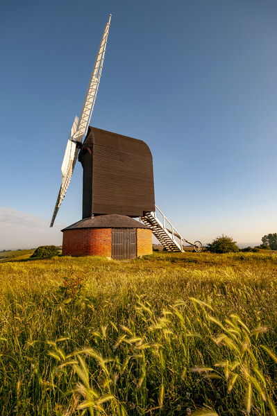 Iconic Brill Windmill Picture Board by Steve Smith