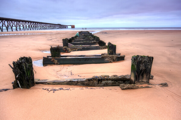 A Rustic Beauty on Hartlepools Coastline Picture Board by Steve Smith