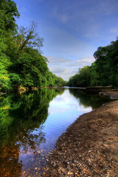 River Swale Picture Board by Steve Smith