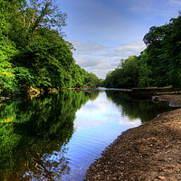 Buy canvas prints of River Swale by Steve Smith