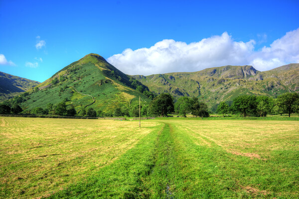 High Hartsop Dodd Picture Board by Steve Smith