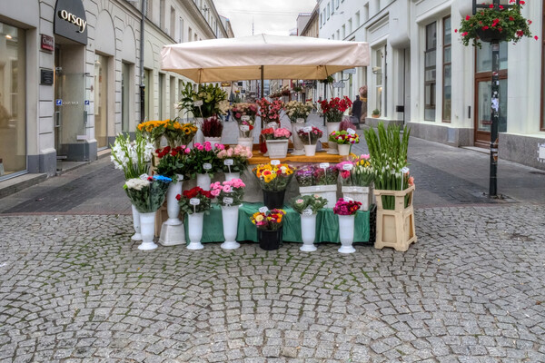 Warsaw Flower Seller Picture Board by Steve Smith