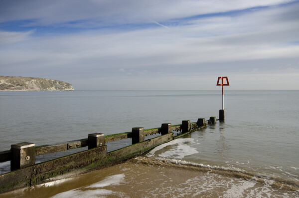 Serene Beauty of Swanage Picture Board by Steve Smith