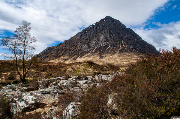 Buachaille Etive Mor Picture Board by Steve Smith
