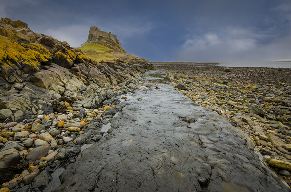 Majestic Lindisfarne Castle Picture Board by Steve Smith