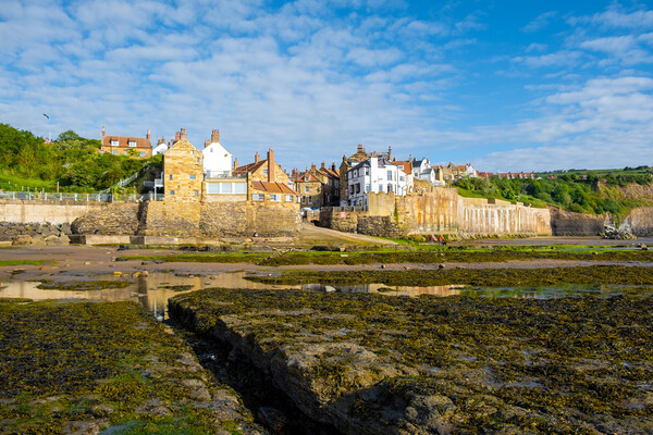 Robin Hoods Bay North Yorkshire Picture Board by Steve Smith