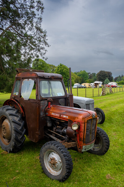 Massey Ferguson 35 Tractor Picture Board by Steve Smith